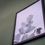 Bpr Cactus Design Home